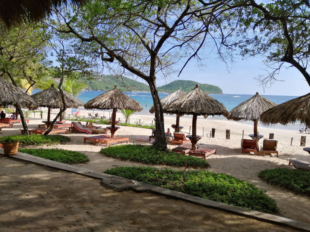 Hospedaje Ixtapa Zihuatanejo Catalina Beach Resort